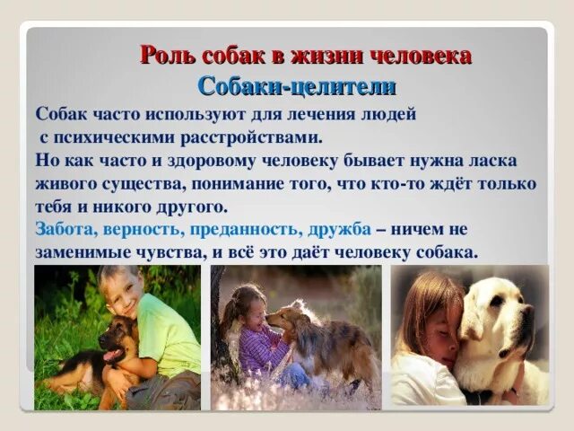 Презентация "Собаки" - Начальные классы - Презентации - 1 класс