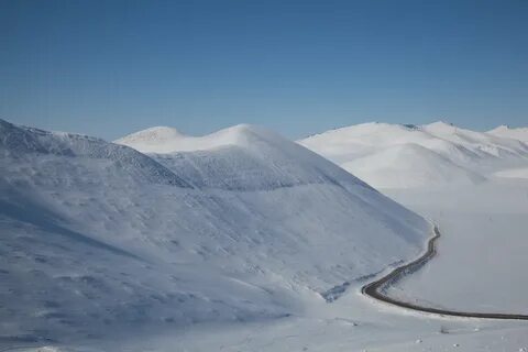 Арктические пустыни евразии