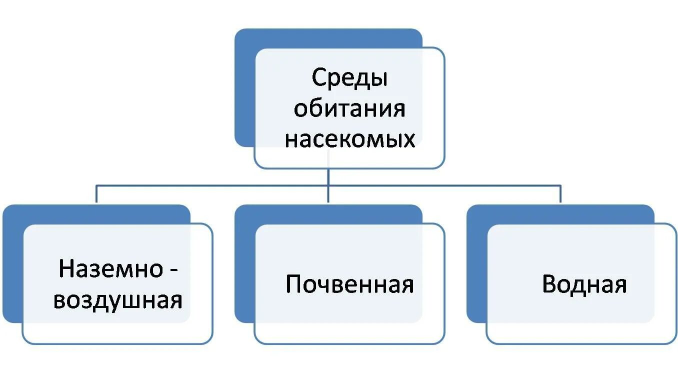 Среда обитания школы