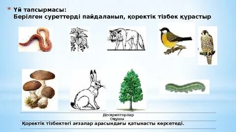 Африкалық секс тайпаларының фотосуреттері