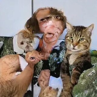 Нейросеть кошки