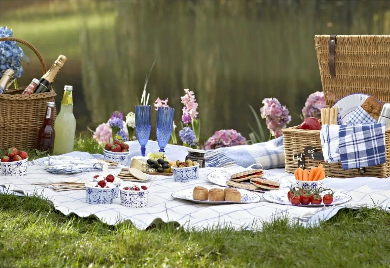 Скатерть для пикника на природе. Пикник день рождения на природе. Продукты для романтического пикника. Picnic day. Picnic day.