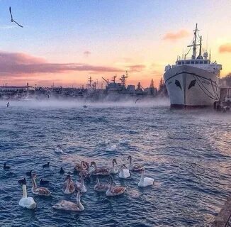 Пола севастополь