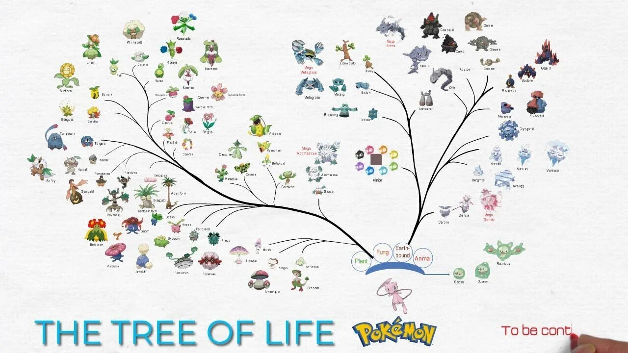 Evolution begins with a tree. Семейное дерево покемонов. legendary pokemon tree. legendary pokemon family tree. pokemon legendary древо.