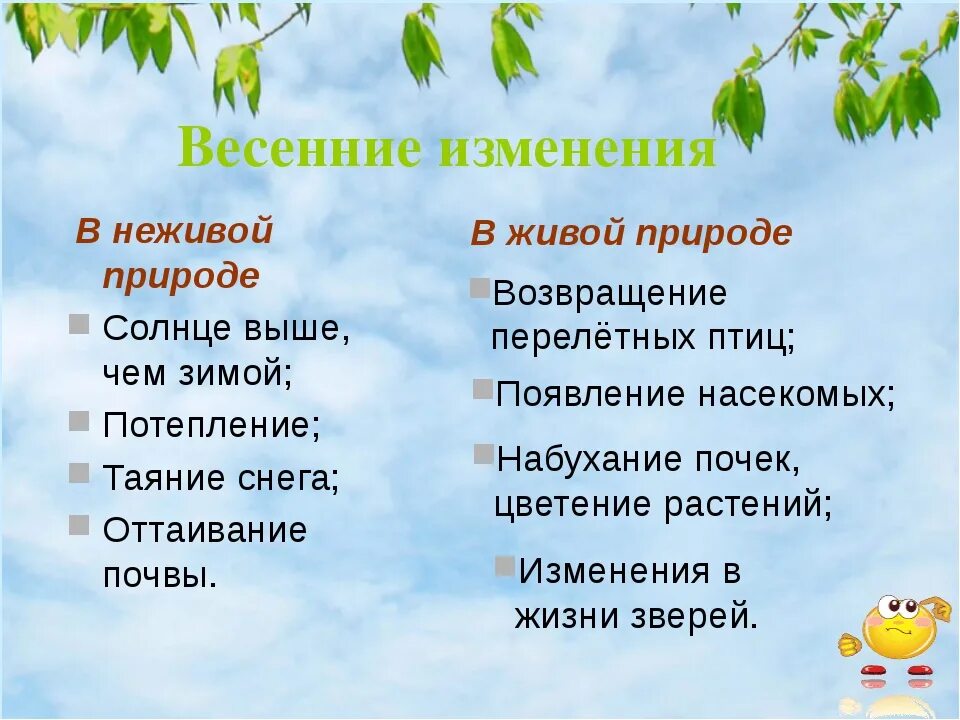 Какие явления происходят в живой природе весной