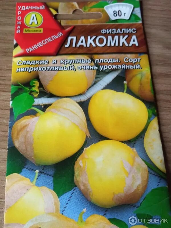 Физалис лакомка. Физалис лакомка