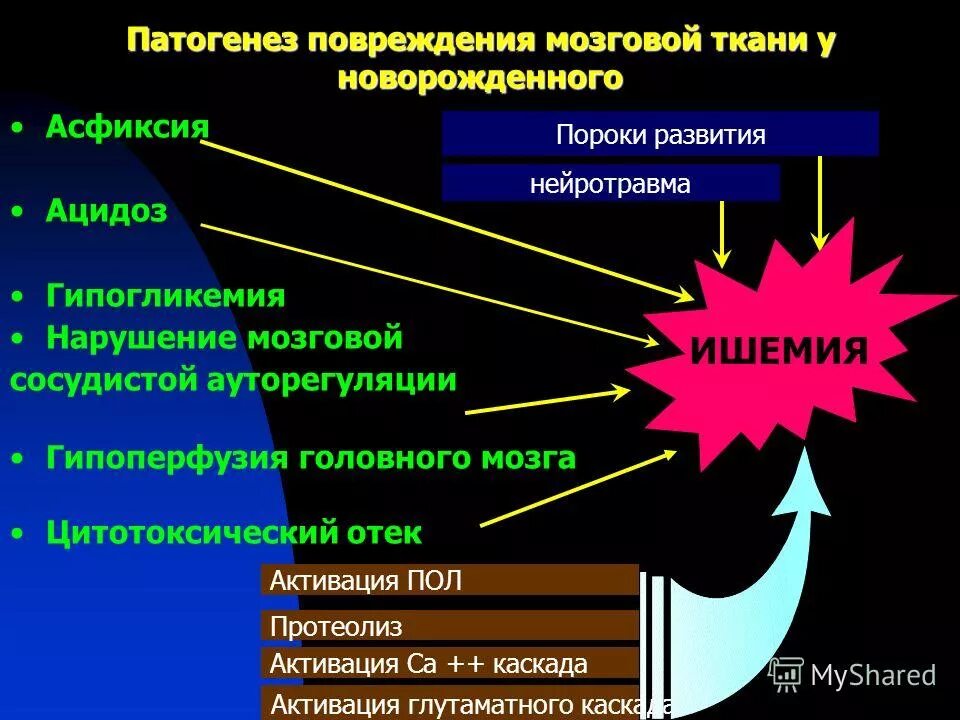 Патогенез повреждения