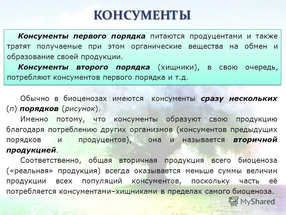 Консументы 1 2 3 порядка примеры