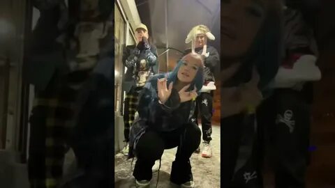 Миа бойка унизила квадробера