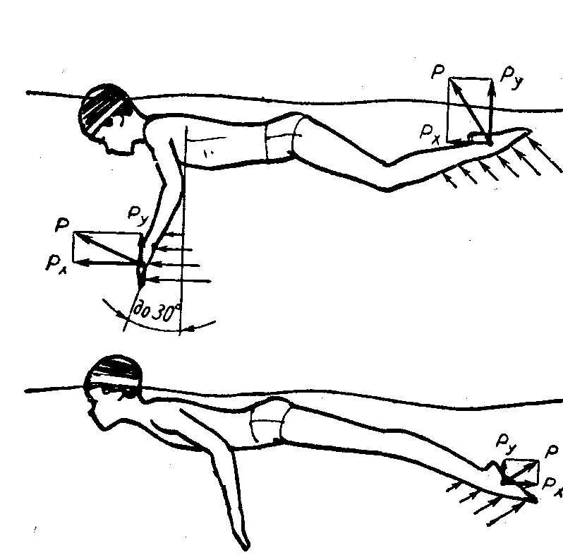 Локомоторные движения в биомеханике. Биомеханика плавания кролем. Силы действующие при плавании. Силы действующие на человека биомеханика. Продвигающая сила
