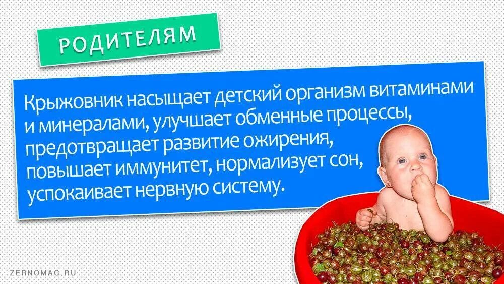 Витамины в крыжовнике полезные. Крыжовник витамины. Крыжовник какие витамины чем полезен. Витамины в крыжовнике полезные. Крыжовник какие витамины чем полезен.