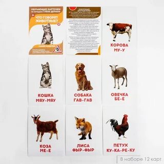 Карточки домана дети