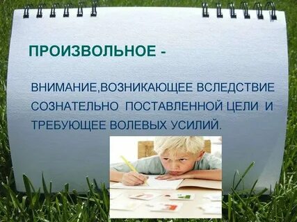 Внимание почему и первая
