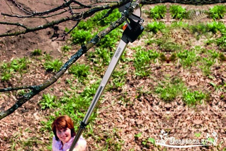 Секатор для обрезки высоких деревьев аккумуляторный