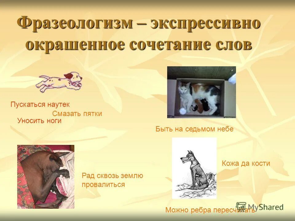 Уносить ноги значение фразеологизма. Пустился наутёк фразеологизм. унести ноги фразеологизм. наутек фразеологизм. унести ноги значение фразеологизма.
