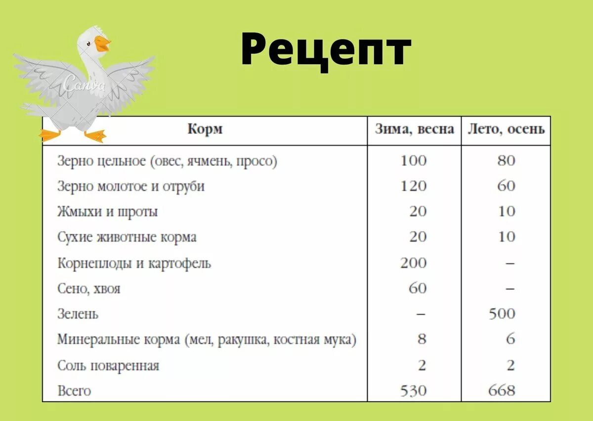 Сколько соли нужно курицам. К рацион кормления гусят в домашних. Нормы кормления гусей комбикормом. Норма корма для гусят в сутки. Норма комбикорма для гусей в сутки.