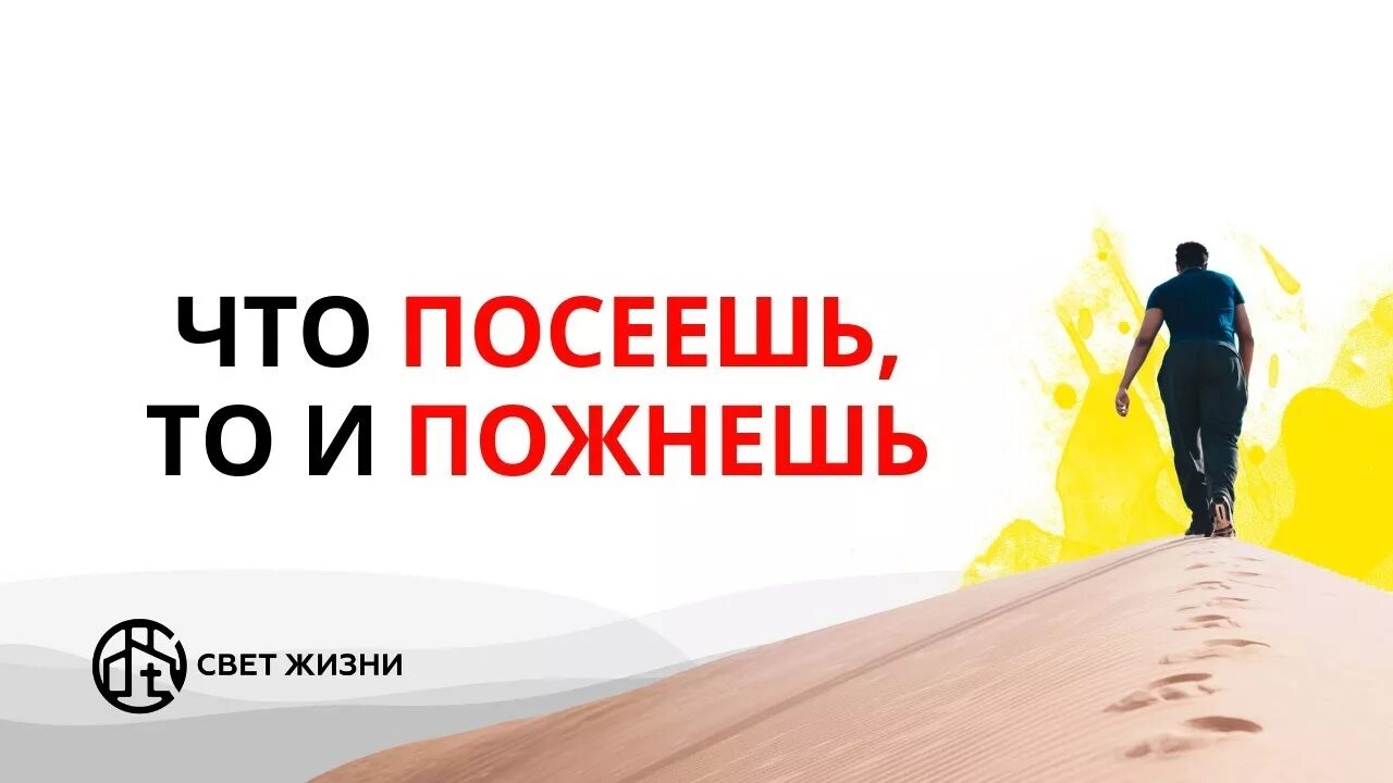 Что посеешь то и пожнешь жизненная ситуация. Что посеешь то и пожнешь надпись. закон жизни что посеешь то и пожнешь. что посеет человек то и пожнет детское. красивая надпись что посеешь то и пожнешь.