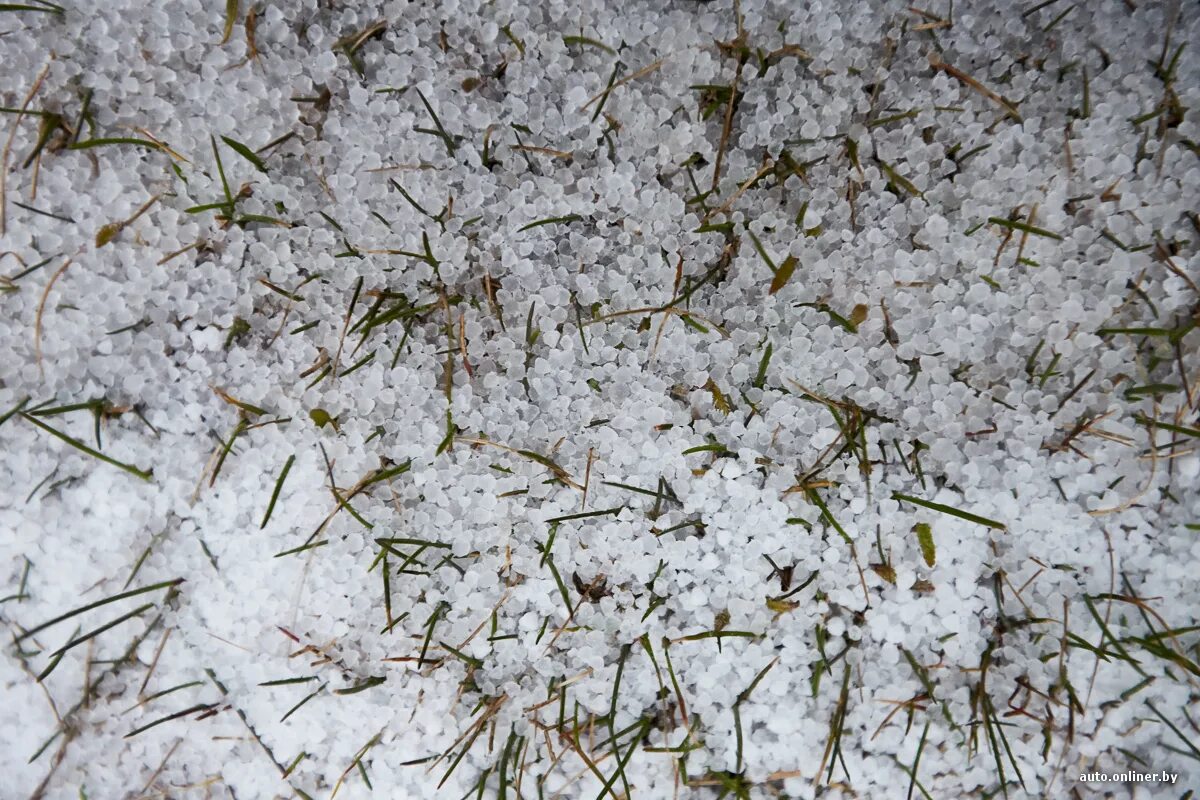 мелкий град. снежные слова. снежные зерна. вид осадков крупа. мелкий град.