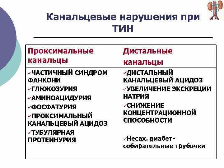 Острый тубулоинтерстициальный нефрит (n10). Нефрит у детей клинические рекомендации. Хронический туболоинстрецианальный нефрит. Медикаментозный интерстициальный нефрит. Острый тубулоинтерстициальный нефрит классификация.