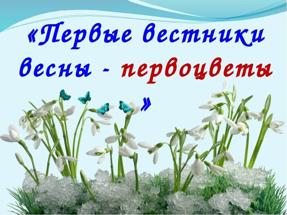 Сообщение на тему первоцветы. Информация о подснежнике. Первоцвет весенний. Первоцветы для дошкольников. Подснежник.