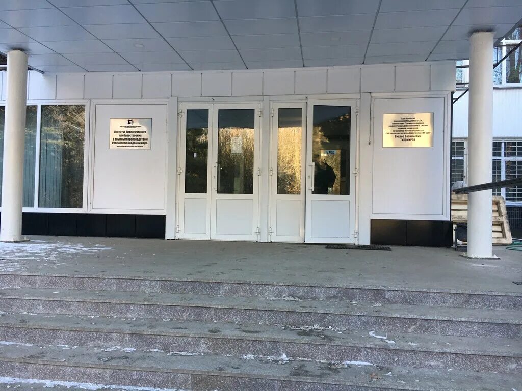 пущино биологический центр. больница пущинского научного центра российской академии наук. пущино институтская улица. пущино институтская. ф-дент пущино.