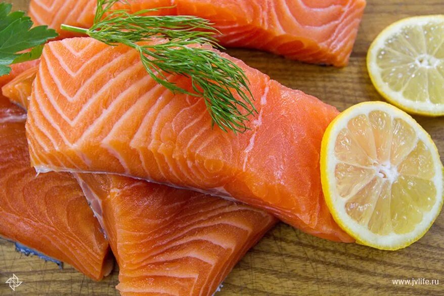 Террин с лососем. Красная рыба малосольная. Закуски с копченой рыбой. Салмон лосось. Форель гравлакс.