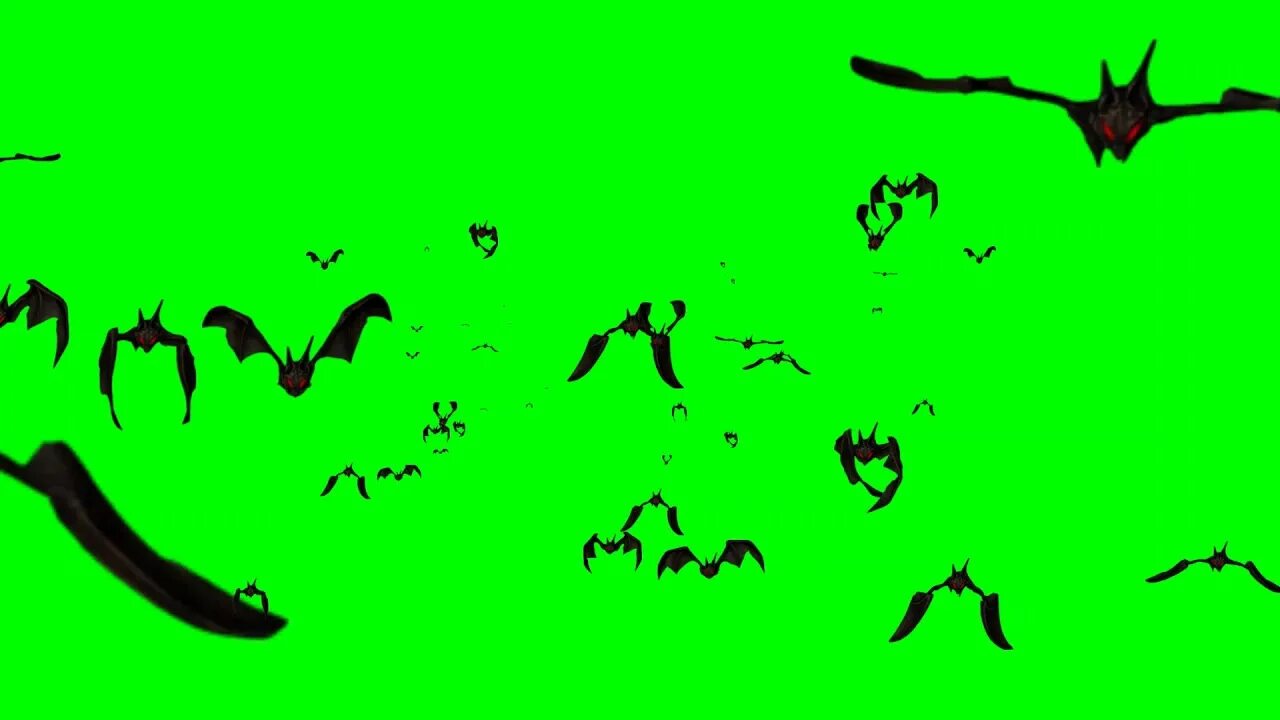 Effect fly