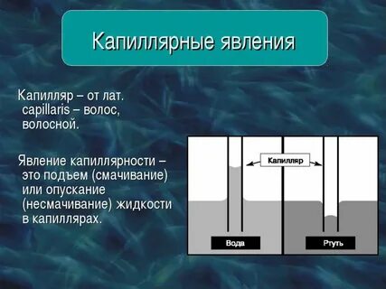 Капиллярность