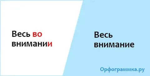 Искать внимание или внимания