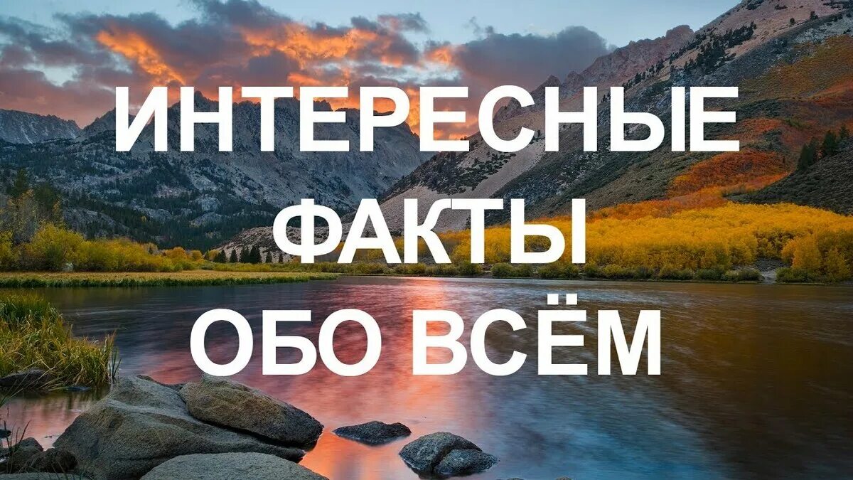 Читать обо всем интересном. Интересные факты. интересные факты обо всём. самые невероятные факты. интересное в картинках обо всем на свете.