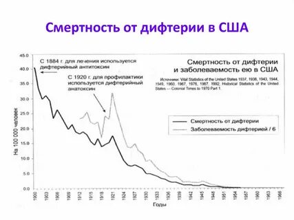 100 смертность