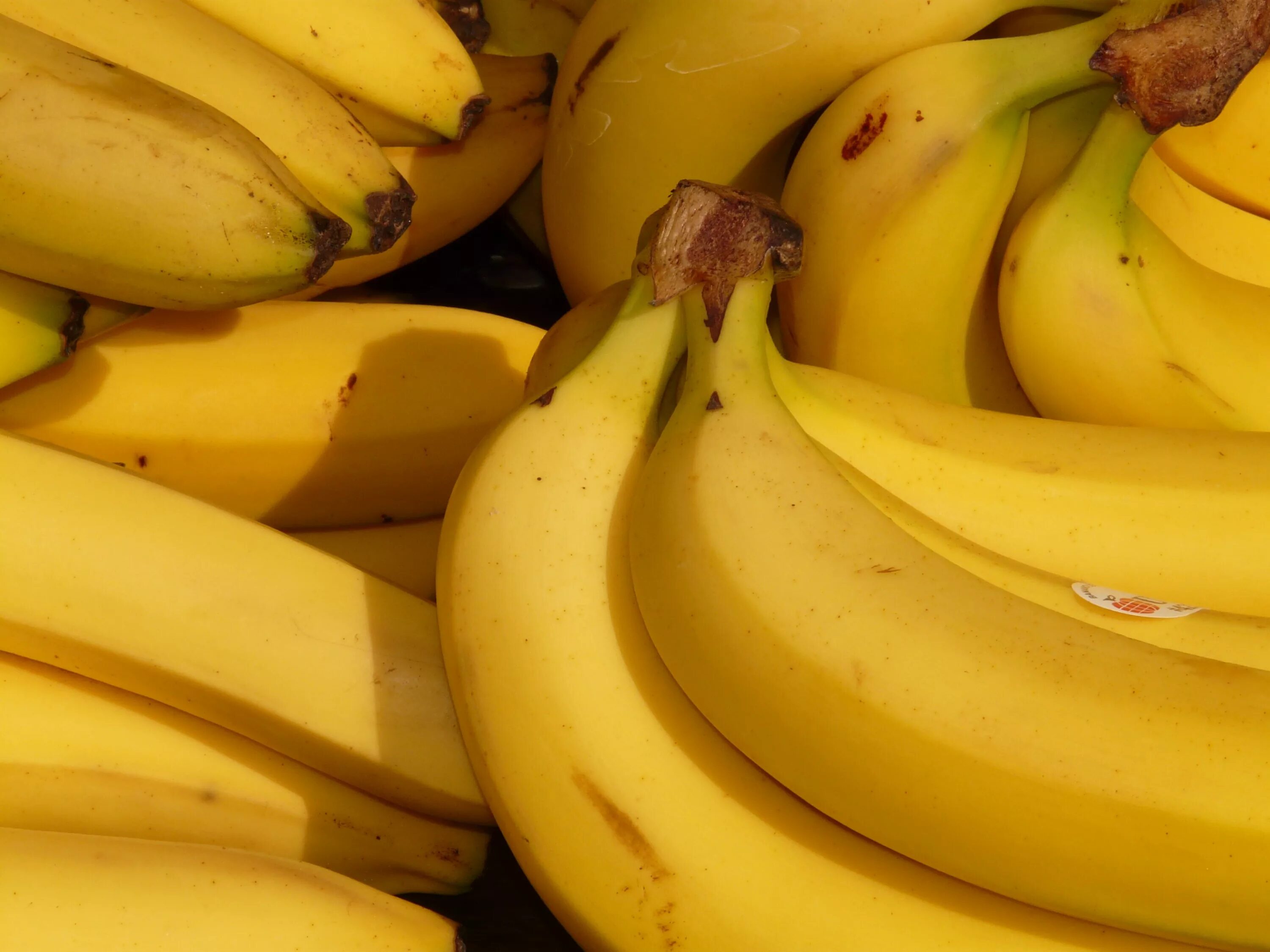 Фотка банана. Сорт бананов Грос-Мишель. Банан platano Banana Banana. Спелый банан. Желтый банан.