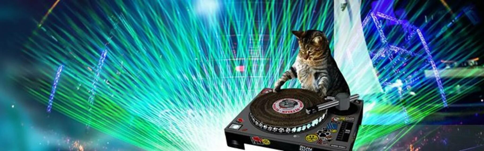 Кот диджей. Кот диджей. Диджей пицца. Котик dj. Кот диджей.