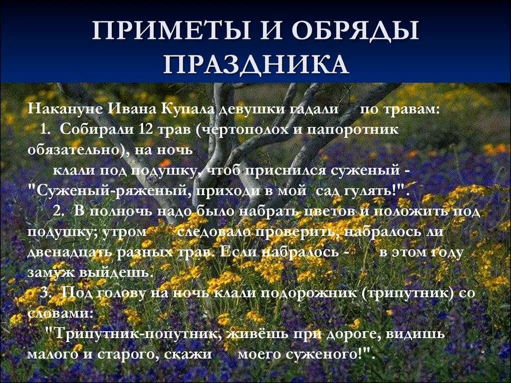 Приметы на ночь. Приметы на Ивана Купала. День Ивана Купала приметы. Приметы и поверья. Приметы на Ивана Купала на приметы.