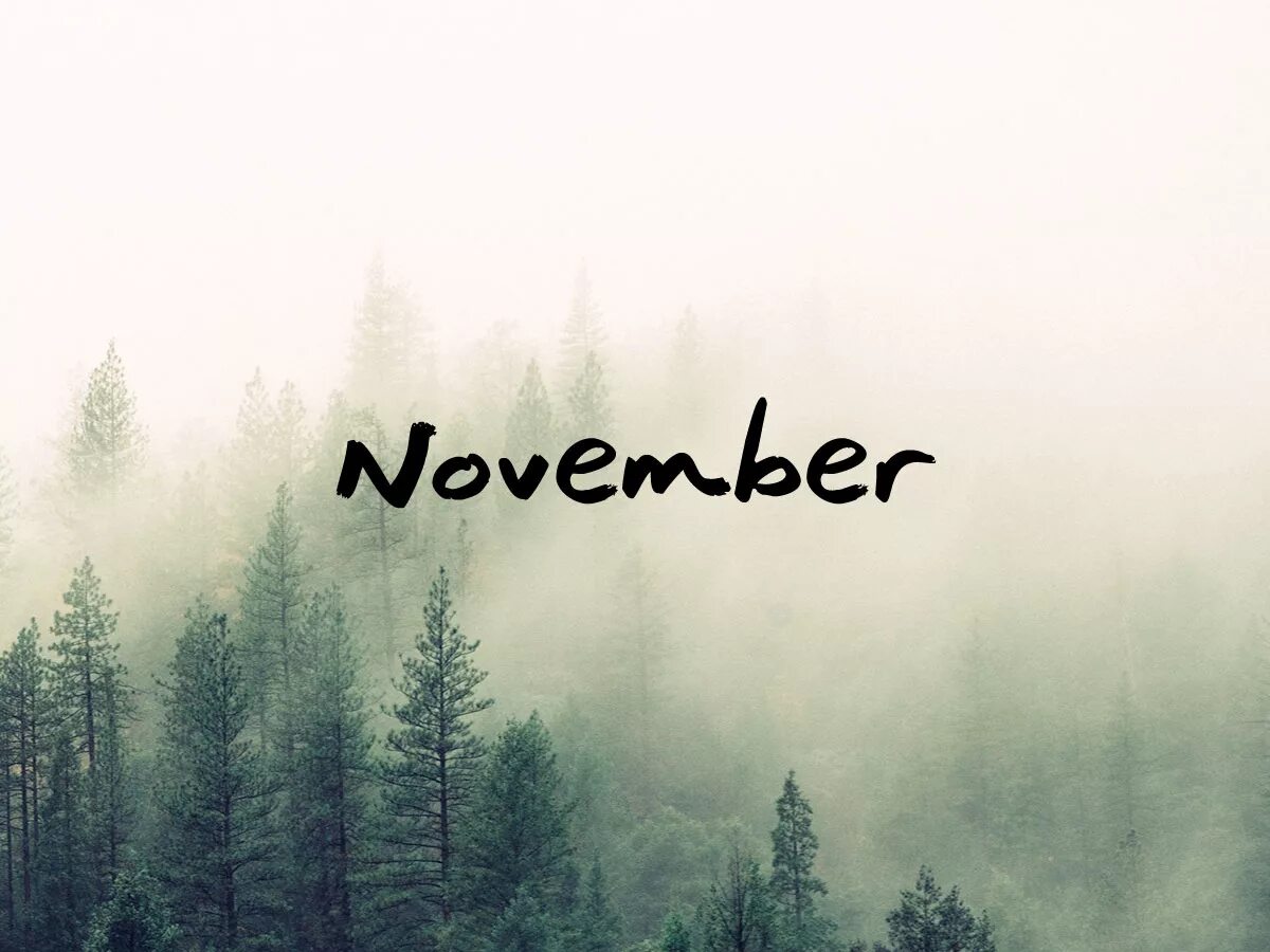 (sean tyas remix) paul webster feat. Ноябрь надпись. November releases. Armada music. November releases.