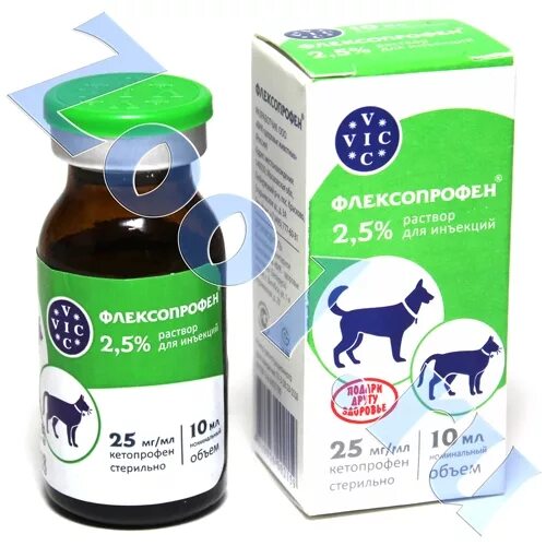 Флексопрофен для собак применение. Флексопрофен 2,5%, 10 мл.. Флексопрофен для собак. Флексопрофен для кошек. Флексопрофен 5 для собак.