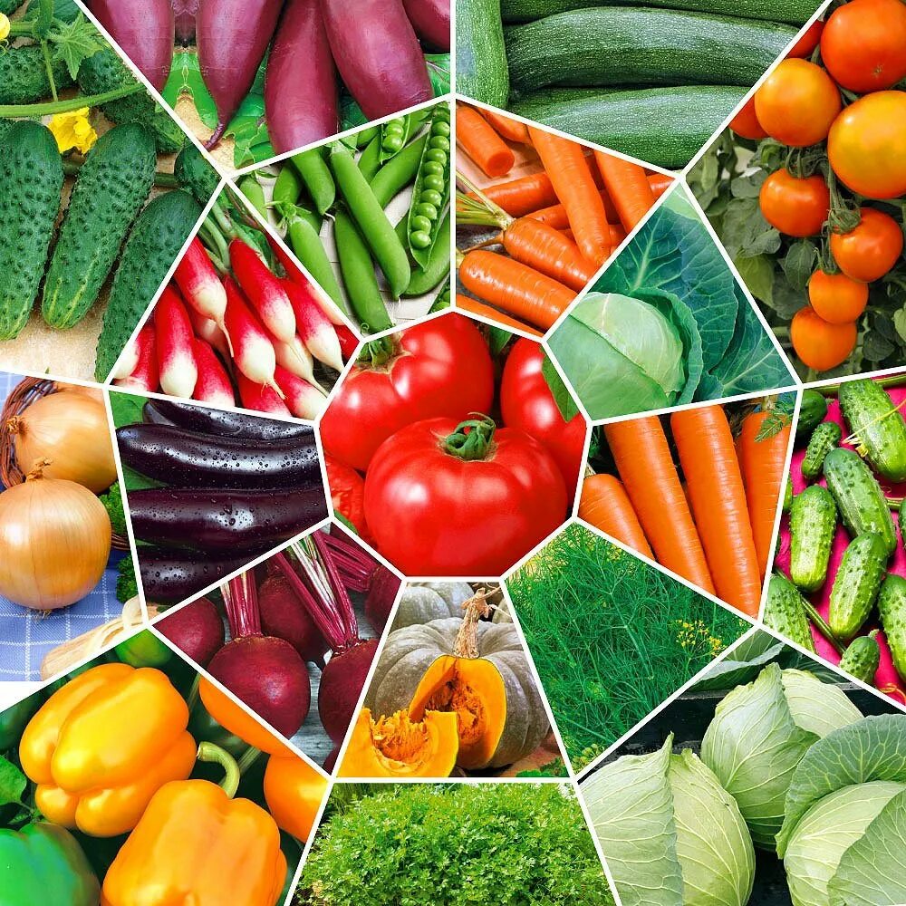 Ассортимент овощей. Семена. Семена овощей и цветов. Овощные культуры. Семена овощей на 2024