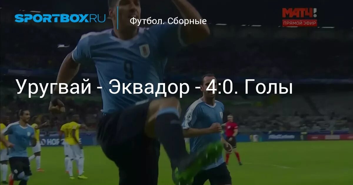 Уругвай эквадор счет. Уругвай эквадор футбол. Уругвай эквадор счет. Кубок уругвая по футболу. Уругвай эквадор счет.