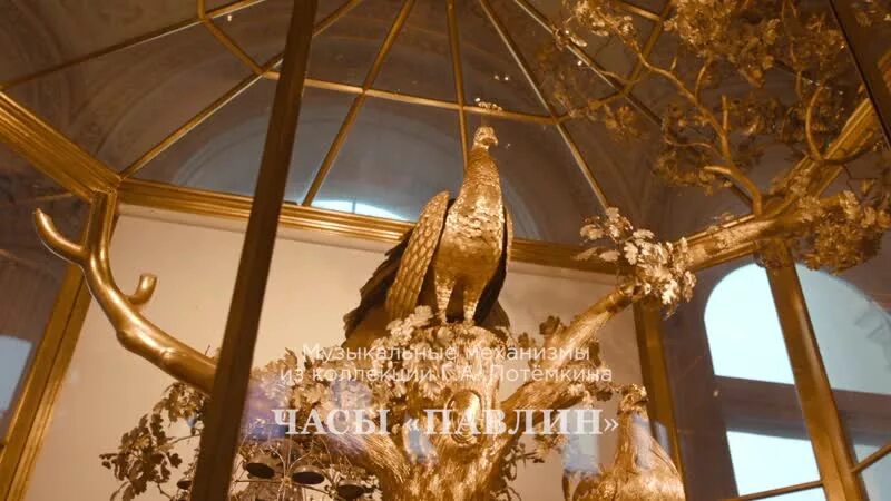 Павлин эрмитаж какой зал. Эрмитаж часы павлин посетители. часы павлин белка. часы с павлином в эрмитаже - фильм. часы в эрмитаже в сиде павлина.