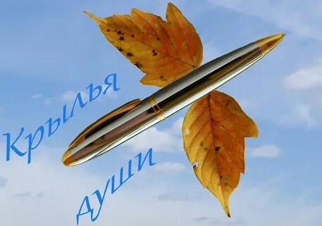 Др писателей