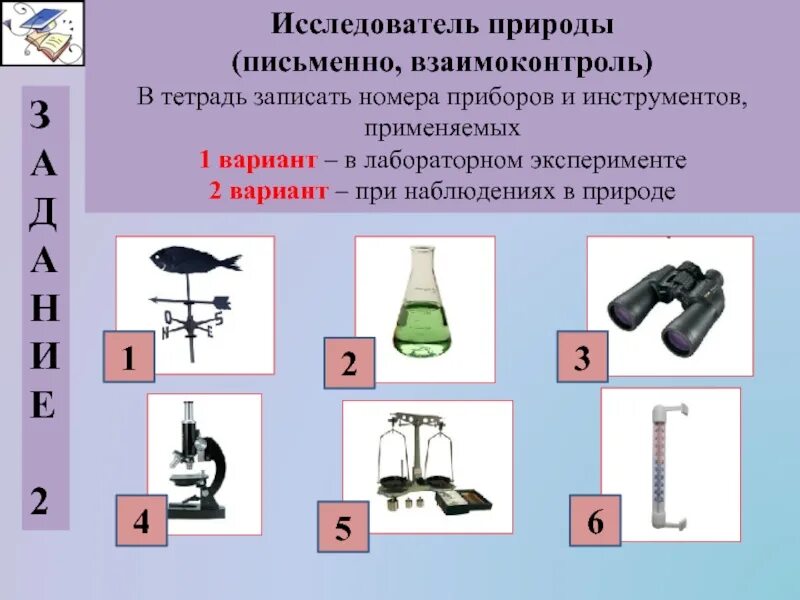 1 пример биологического эксперимента Картинки КАКИЕ БИОЛОГИЧЕСКИЕ ЭКСПЕРИМЕНТЫ ПРОВОДЯТ