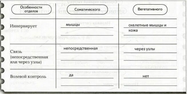 Заполните таблицу отделы нервной системы
