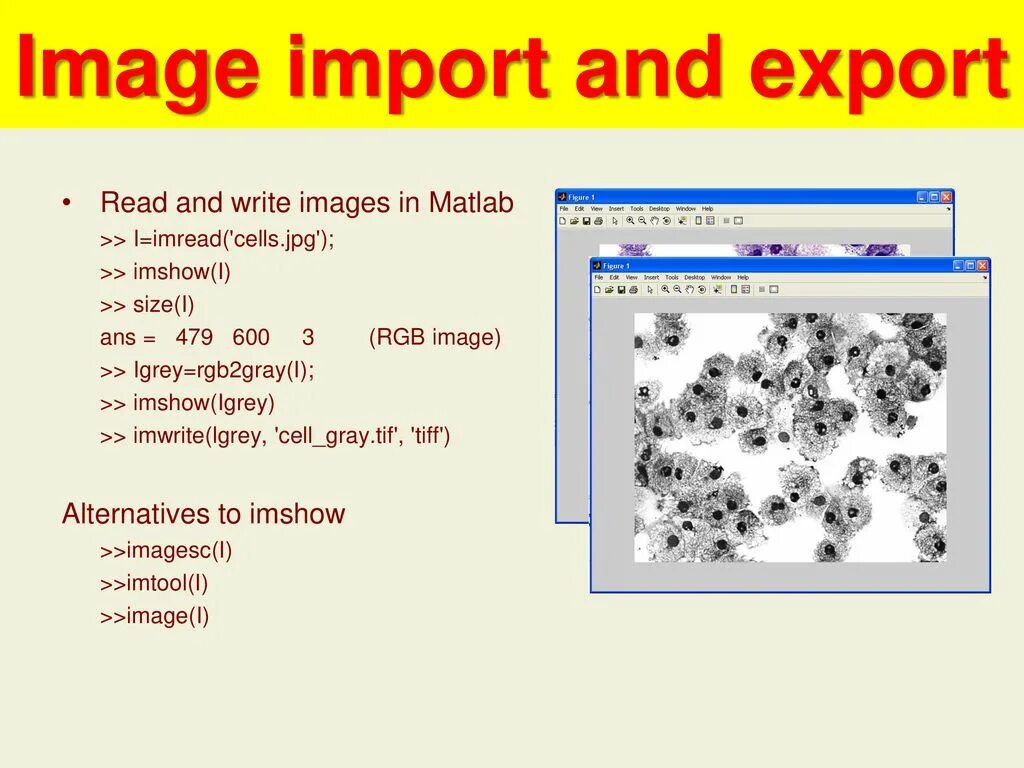 Imshow size. Imread matlab. cell2mat matlab описание. imshow matlab. a guide to matlab.