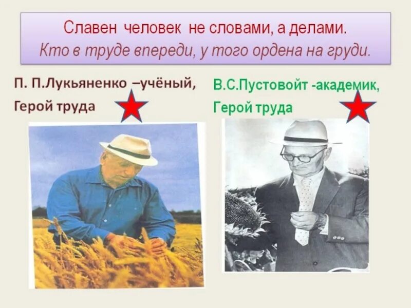 Кубановедение 3 класс твои земляки труженики. Герои кубанских полей. труженики кубанских полей. земляки труженики. люди труда краснодарского края.