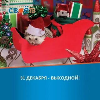 31 декабря вторник
