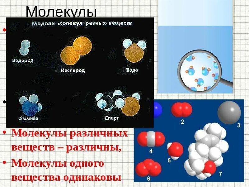 Привести примеры молекул. Молекулы различных веществ. Модели молекул простых веществ. Молекула молекулы веществ. Модели простых и сложных веществ.