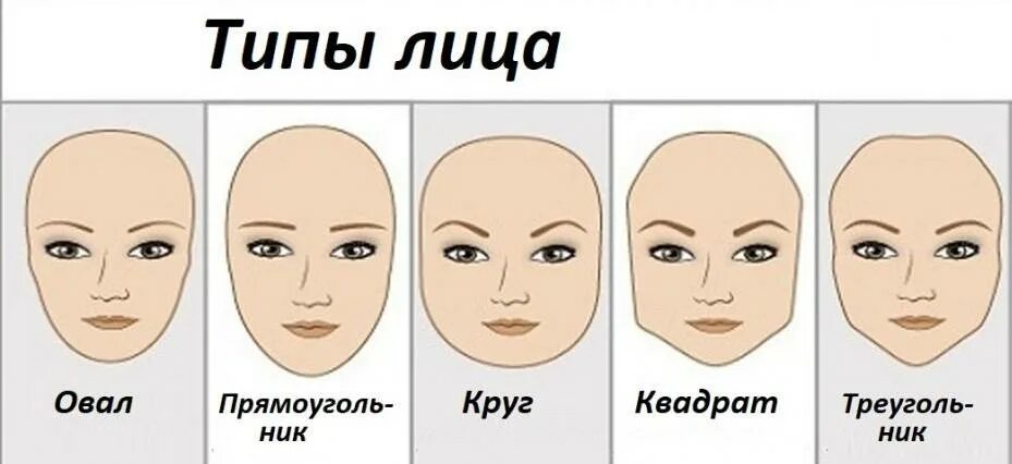 Узнать тип. Типы лица. овал лица типы. типы бровей по типу лица.