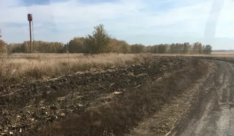 Дорога вокруг населенного пункта