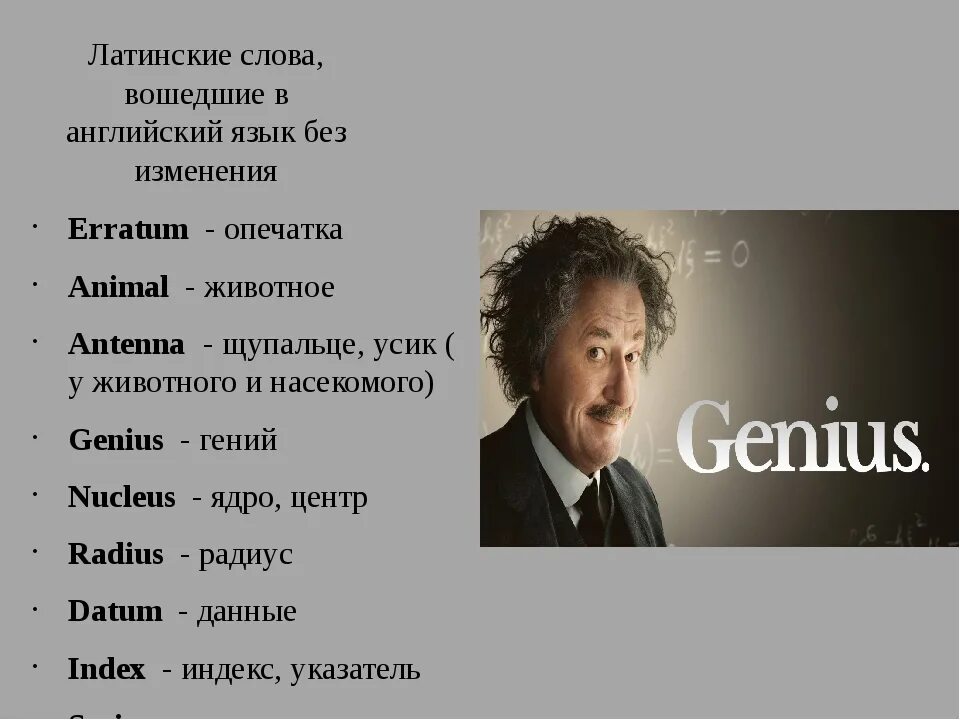 Латинское слово жизнь. Латинские слова. Слова на латыни. Латинские слова с переводом. Красивые латинские слова.