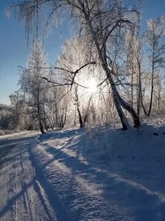 Зима июль